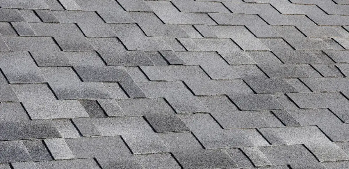 asphalt shingle roof