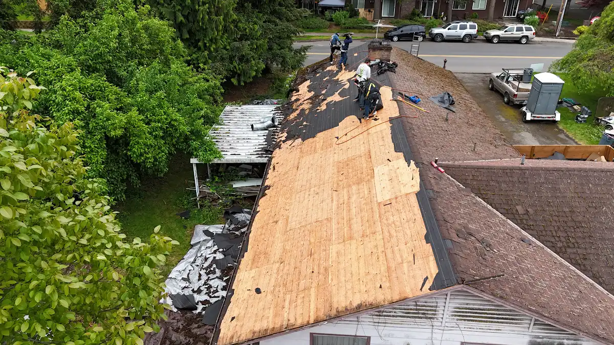 New plywood replacing rotted sheathing during a roof replacement in Hidden Terrace, Camas, WA
