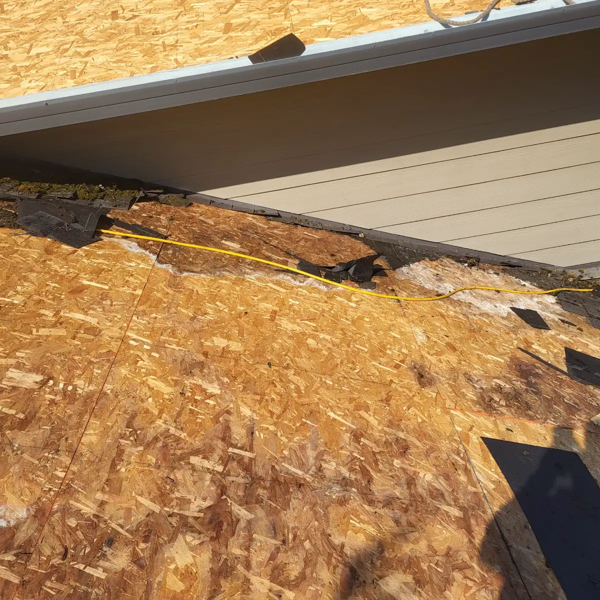 Moldy, water-damaged OSB roof sheeting found under old shingles on a home in Salmon Creek, Vancouver, WA
