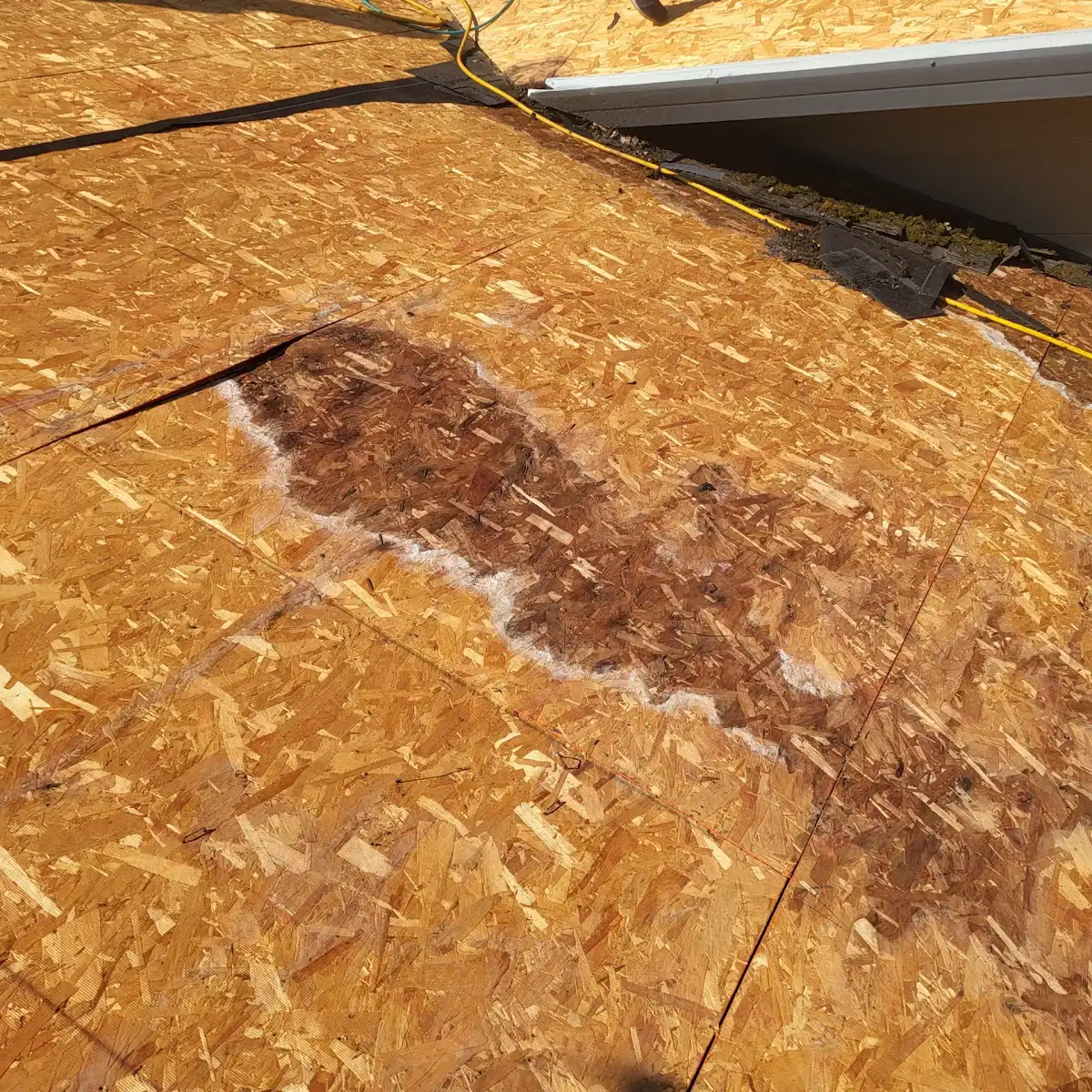 Close-up of rotted roof sheeting uncovered during tear-off in Salmon Creek, Vancouver, WA